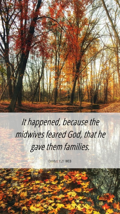 Picture 06 - Exodus 1:21 WEB Mobile Phone Wallpaper - It happened, because the midwives feared God, - Mobile Bible Verse Wallpaper