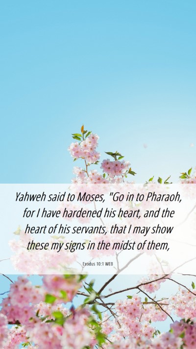 Picture 06 - Exodus 10:1 WEB Mobile Phone Wallpaper - Yahweh said to Moses, 