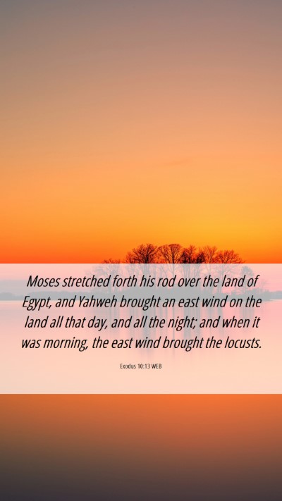 Picture 06 - Exodus 10:13 WEB Mobile Phone Wallpaper - Moses stretched forth his rod over the land of - Mobile Bible Verse Wallpaper