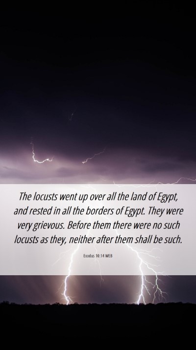 Picture 06 - Exodus 10:14 WEB Mobile Phone Wallpaper - The locusts went up over all the land of Egypt, - Mobile Bible Verse Wallpaper