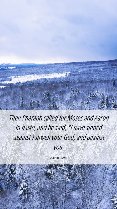 Picture 06 - Exodus 10:16 WEB Mobile Phone Wallpaper - Then Pharaoh called for Moses and Aaron in haste, - Mobile Bible Verse Wallpaper