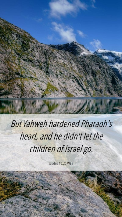 Picture 06 - Exodus 10:20 WEB Mobile Phone Wallpaper - But Yahweh hardened Pharaoh's heart, and he - Mobile Bible Verse Wallpaper