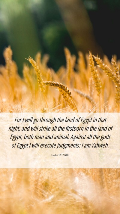 Picture 06 - Exodus 12:12 WEB Mobile Phone Wallpaper - For I will go through the land of Egypt in that - Mobile Bible Verse Wallpaper