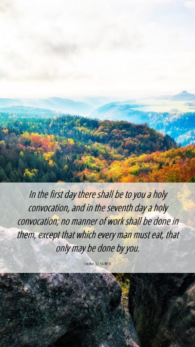 Picture 06 - Exodus 12:16 WEB Mobile Phone Wallpaper - In the first day there shall be to you a holy - Mobile Bible Verse Wallpaper