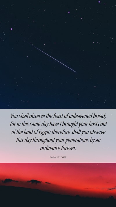 Picture 06 - Exodus 12:17 WEB Mobile Phone Wallpaper - You shall observe the feast of unleavened bread; - Mobile Bible Verse Wallpaper
