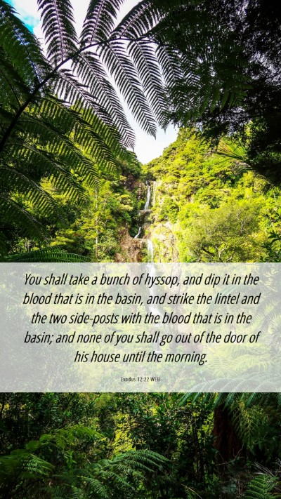 Picture 06 - Exodus 12:22 WEB Mobile Phone Wallpaper - You shall take a bunch of hyssop, and dip it in - Mobile Bible Verse Wallpaper