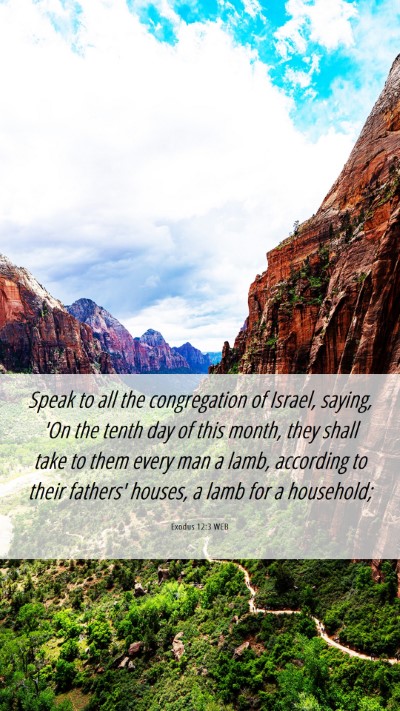 Picture 06 - Exodus 12:3 WEB Mobile Phone Wallpaper - Speak to all the congregation of Israel, saying, - Mobile Bible Verse Wallpaper