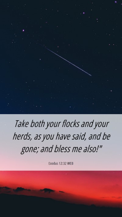 Picture 06 - Exodus 12:32 WEB Mobile Phone Wallpaper - Take both your flocks and your herds, as you have - Mobile Bible Verse Wallpaper