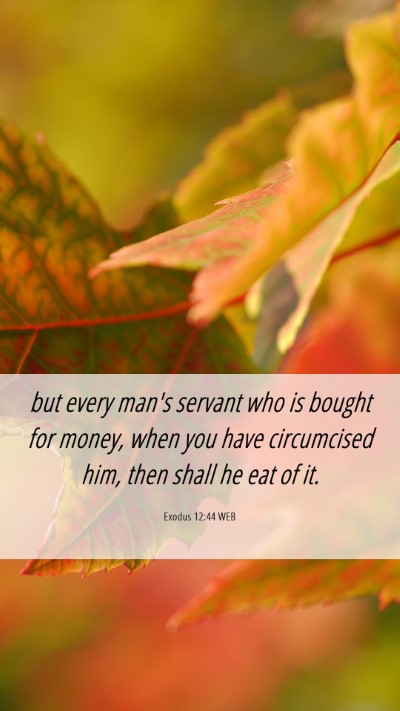 Picture 06 - Exodus 12:44 WEB Mobile Phone Wallpaper - but every man's servant who is bought for money, - Mobile Bible Verse Wallpaper