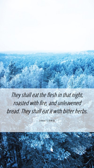 Picture 06 - Exodus 12:8 WEB Mobile Phone Wallpaper - They shall eat the flesh in that night, roasted - Mobile Bible Verse Wallpaper