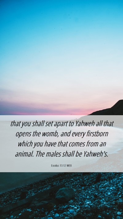 Picture 06 - Exodus 13:12 WEB Mobile Phone Wallpaper - that you shall set apart to Yahweh all that opens - Mobile Bible Verse Wallpaper
