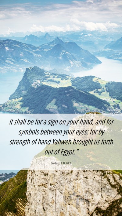Picture 06 - Exodus 13:16 WEB Mobile Phone Wallpaper - It shall be for a sign on your hand, and for - Mobile Bible Verse Wallpaper