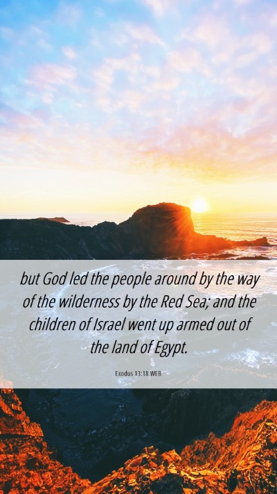 Picture 06 - Exodus 13:18 WEB Mobile Phone Wallpaper - but God led the people around by the way of the - Mobile Bible Verse Wallpaper