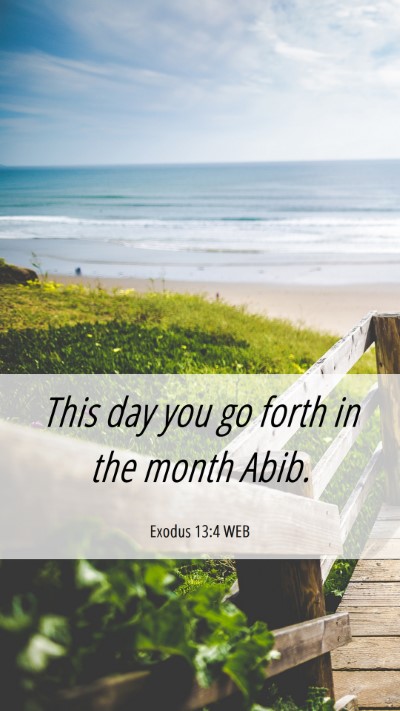 Picture 06 - Exodus 13:4 WEB Mobile Phone Wallpaper - This day you go forth in the month - Mobile Bible Verse Wallpaper