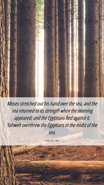Picture 06 - Exodus 14:27 WEB Mobile Phone Wallpaper - Moses stretched out his hand over the sea, and - Mobile Bible Verse Wallpaper