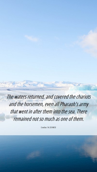 Picture 06 - Exodus 14:28 WEB Mobile Phone Wallpaper - The waters returned, and covered the chariots and - Mobile Bible Verse Wallpaper