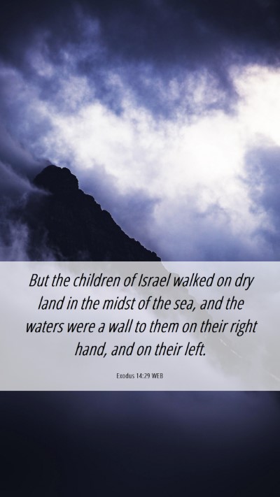 Picture 06 - Exodus 14:29 WEB Mobile Phone Wallpaper - But the children of Israel walked on dry land in - Mobile Bible Verse Wallpaper