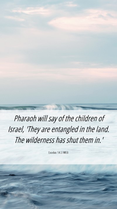Picture 06 - Exodus 14:3 WEB Mobile Phone Wallpaper - Pharaoh will say of the children of Israel, 'They - Mobile Bible Verse Wallpaper