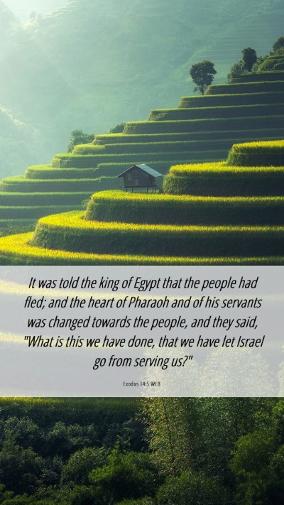 Picture 06 - Exodus 14:5 WEB Mobile Phone Wallpaper - It was told the king of Egypt that the people had - Mobile Bible Verse Wallpaper