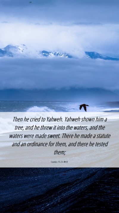 Picture 06 - Exodus 15:25 WEB Mobile Phone Wallpaper - Then he cried to Yahweh. Yahweh shown him a tree, - Mobile Bible Verse Wallpaper