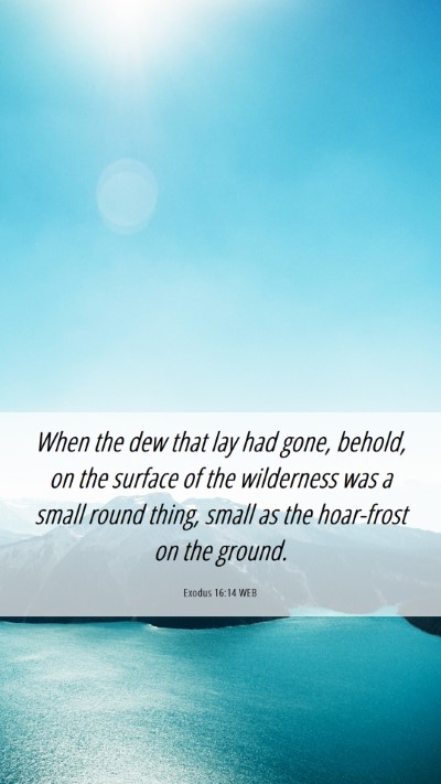 Picture 06 - Exodus 16:14 WEB Mobile Phone Wallpaper - When the dew that lay had gone, behold, on the - Mobile Bible Verse Wallpaper