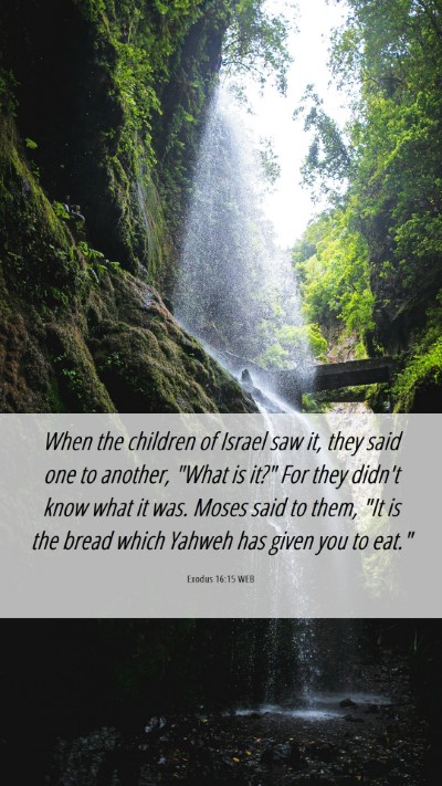 Picture 06 - Exodus 16:15 WEB Mobile Phone Wallpaper - When the children of Israel saw it, they said one - Mobile Bible Verse Wallpaper