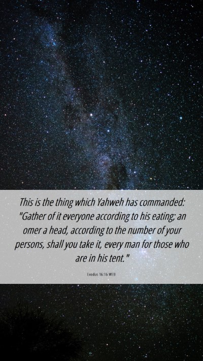 Picture 06 - Exodus 16:16 WEB Mobile Phone Wallpaper - This is the thing which Yahweh has commanded: - Mobile Bible Verse Wallpaper