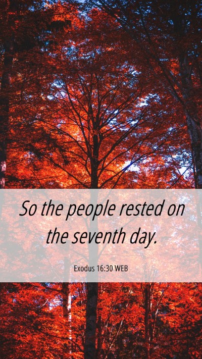 Picture 06 - Exodus 16:30 WEB Mobile Phone Wallpaper - So the people rested on the seventh - Mobile Bible Verse Wallpaper