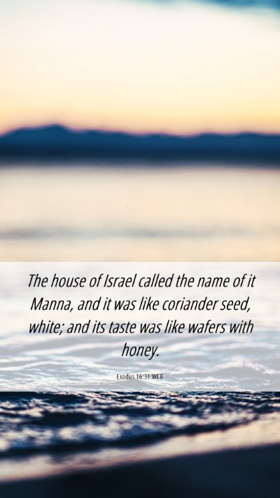 Picture 06 - Exodus 16:31 WEB Mobile Phone Wallpaper - The house of Israel called the name of it Manna, - Mobile Bible Verse Wallpaper