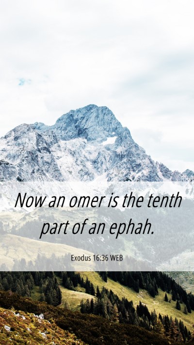 Picture 06 - Exodus 16:36 WEB Mobile Phone Wallpaper - Now an omer is the tenth part of an - Mobile Bible Verse Wallpaper