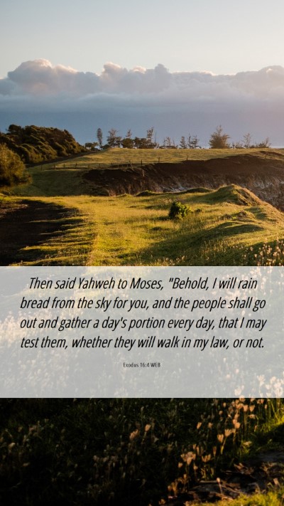 Picture 06 - Exodus 16:4 WEB Mobile Phone Wallpaper - Then said Yahweh to Moses, 