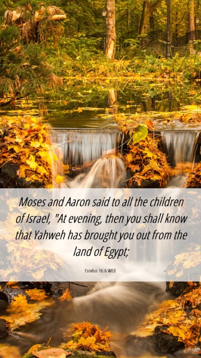Picture 06 - Exodus 16:6 WEB Mobile Phone Wallpaper - Moses and Aaron said to all the children of - Mobile Bible Verse Wallpaper