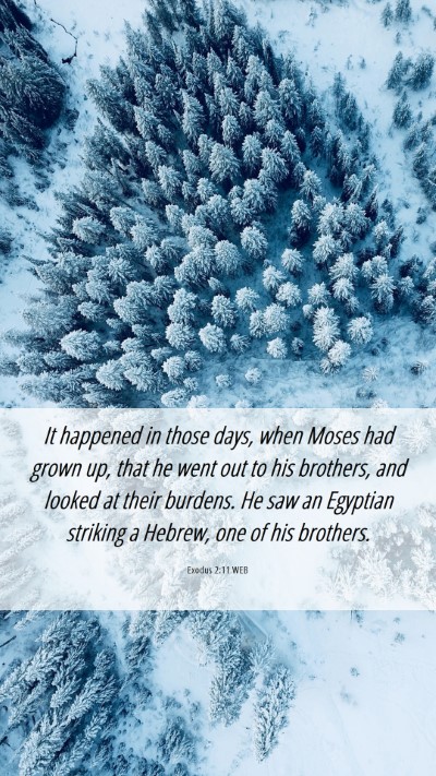 Picture 06 - Exodus 2:11 WEB Mobile Phone Wallpaper - It happened in those days, when Moses had grown - Mobile Bible Verse Wallpaper
