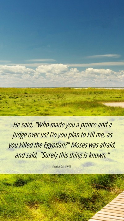 Picture 06 - Exodus 2:14 WEB Mobile Phone Wallpaper - He said, 