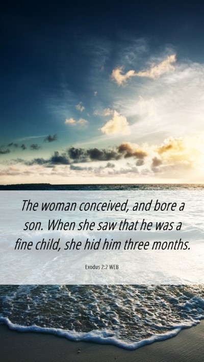 Picture 06 - Exodus 2:2 WEB Mobile Phone Wallpaper - The woman conceived, and bore a son. When she saw - Mobile Bible Verse Wallpaper