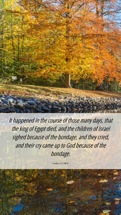 Picture 06 - Exodus 2:23 WEB Mobile Phone Wallpaper - It happened in the course of those many days, - Mobile Bible Verse Wallpaper