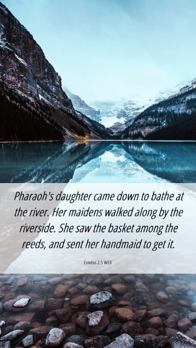 Picture 06 - Exodus 2:5 WEB Mobile Phone Wallpaper - Pharaoh's daughter came down to bathe at the - Mobile Bible Verse Wallpaper
