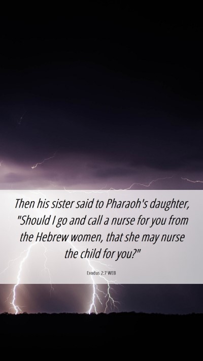 Picture 06 - Exodus 2:7 WEB Mobile Phone Wallpaper - Then his sister said to Pharaoh's daughter, - Mobile Bible Verse Wallpaper
