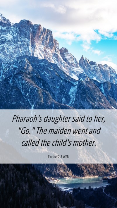 Picture 06 - Exodus 2:8 WEB Mobile Phone Wallpaper - Pharaoh's daughter said to her, 