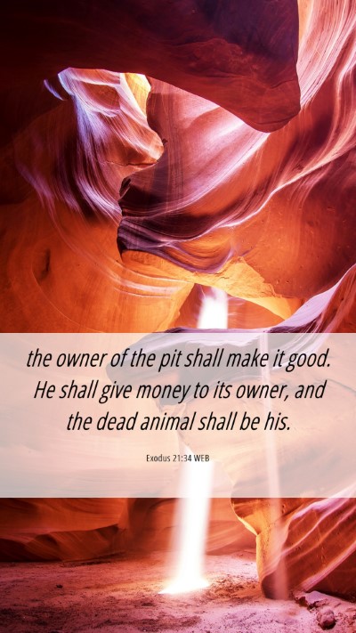 Picture 06 - Exodus 21:34 WEB Mobile Phone Wallpaper - the owner of the pit shall make it good. He shall - Mobile Bible Verse Wallpaper