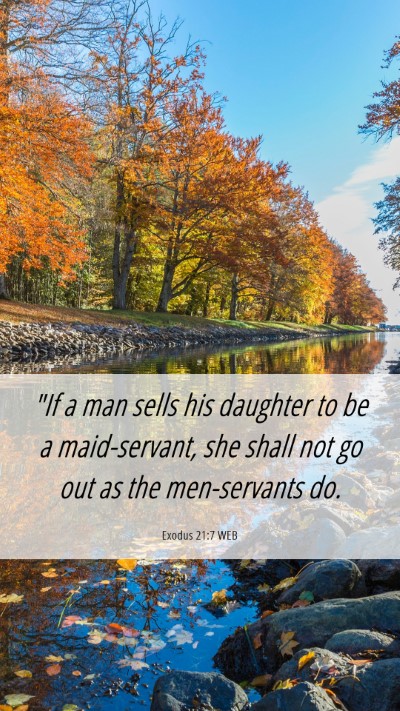 Picture 06 - Exodus 21:7 WEB Mobile Phone Wallpaper - 