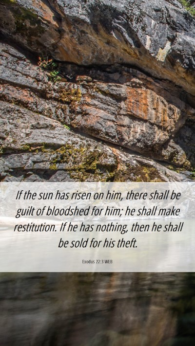 Picture 06 - Exodus 22:3 WEB Mobile Phone Wallpaper - If the sun has risen on him, there shall be guilt - Mobile Bible Verse Wallpaper