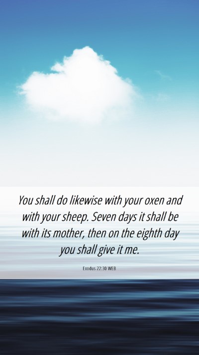 Picture 06 - Exodus 22:30 WEB Mobile Phone Wallpaper - You shall do likewise with your oxen and with - Mobile Bible Verse Wallpaper