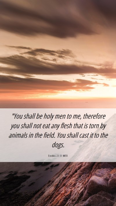 Picture 06 - Exodus 22:31 WEB Mobile Phone Wallpaper - 