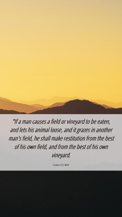 Picture 06 - Exodus 22:5 WEB Mobile Phone Wallpaper - 