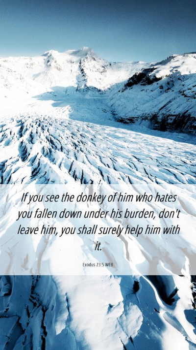 Picture 06 - Exodus 23:5 WEB Mobile Phone Wallpaper - If you see the donkey of him who hates you fallen - Mobile Bible Verse Wallpaper