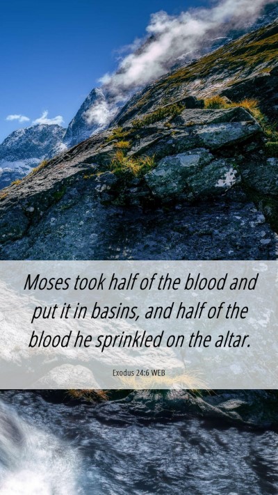 Picture 06 - Exodus 24:6 WEB Mobile Phone Wallpaper - Moses took half of the blood and put it in - Mobile Bible Verse Wallpaper