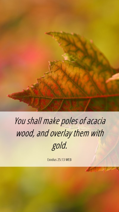 Picture 06 - Exodus 25:13 WEB Mobile Phone Wallpaper - You shall make poles of acacia wood, and overlay - Mobile Bible Verse Wallpaper