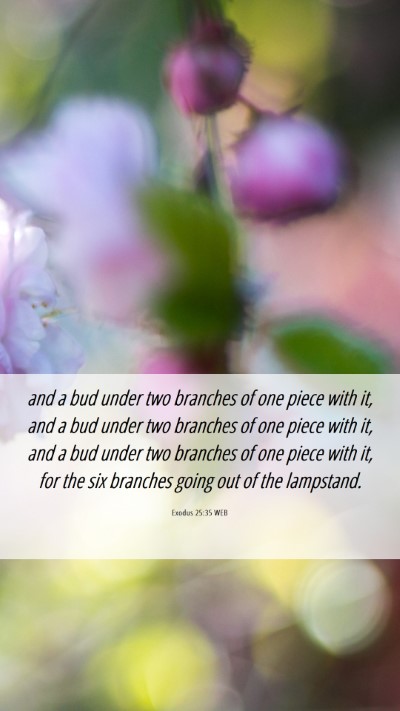 Picture 06 - Exodus 25:35 WEB Mobile Phone Wallpaper - and a bud under two branches of one piece with - Mobile Bible Verse Wallpaper