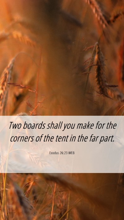 Picture 06 - Exodus 26:23 WEB Mobile Phone Wallpaper - Two boards shall you make for the corners of the - Mobile Bible Verse Wallpaper